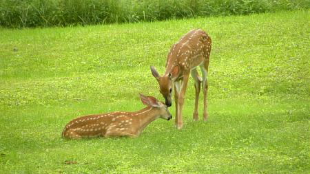 Click image for larger version

Name:	DSCN4891.JPG
Views:	325
Size:	2.19 MB
ID:	432718