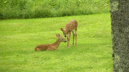 Click image for larger version

Name:	DSCN4890.JPG
Views:	319
Size:	2.61 MB
ID:	432719