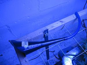Click image for larger version

Name:	IMG_2404.JPG
Views:	343
Size:	2.44 MB
ID:	433070