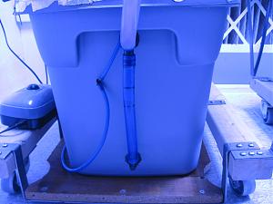 Click image for larger version

Name:	IMG_2402.JPG
Views:	359
Size:	2.03 MB
ID:	433072