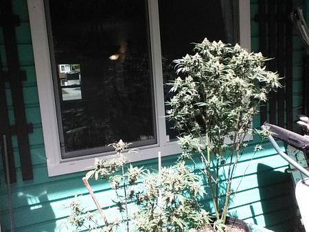Click image for larger version

Name:	IMG_20180602_133801.jpg
Views:	295
Size:	241.9 KB
ID:	209865