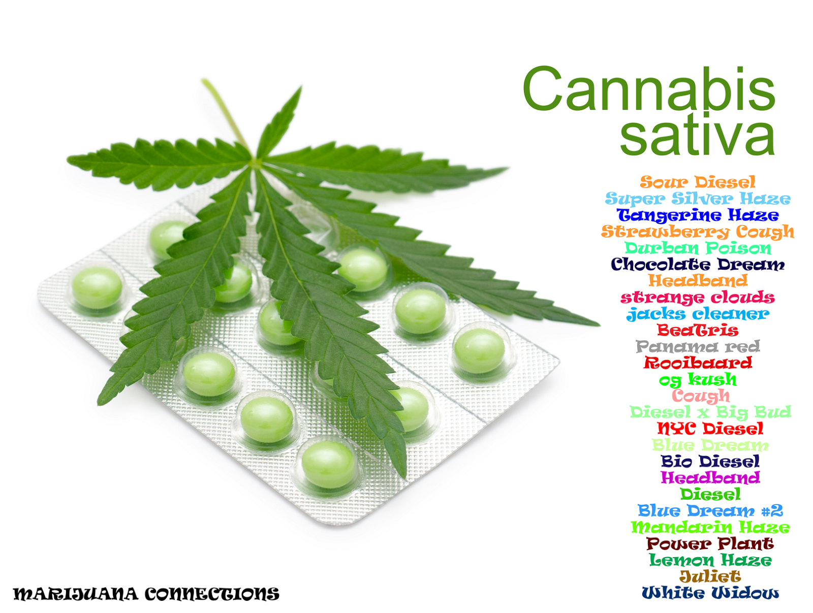 S99 = Sour Diesel x C99  International Cannagraphic Magazine Forums