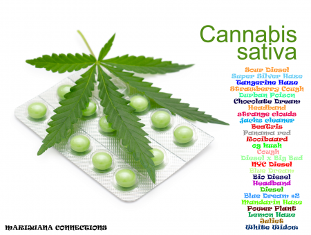 Click image for larger version

Name:	sativa-marijuana-strains.png
Views:	1112
Size:	1.15 MB
ID:	86797