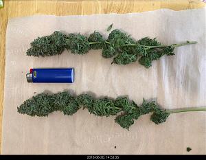 Click image for larger version

Name:	IMG_8631.jpg
Views:	289
Size:	312.2 KB
ID:	217351