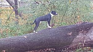 Click image for larger version

Name:	20171220_130711.jpg
Views:	632
Size:	2.24 MB
ID:	350137