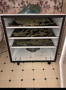 Click image for larger version  Name:	IMG_8663.jpg Views:	1 Size:	308.1 KB ID:	218357