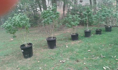 Click image for larger version

Name:	20200913_082502.jpg
Views:	196
Size:	1.02 MB
ID:	461263