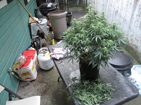 Click image for larger version

Name:	IMG_1040.JPG
Views:	208
Size:	1.03 MB
ID:	455922