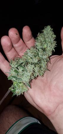 Click image for larger version

Name:	20201009_131507.jpg
Views:	203
Size:	1.27 MB
ID:	457985