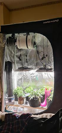 Click image for larger version

Name:	20201103_141702.jpg
Views:	344
Size:	1.78 MB
ID:	464902