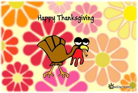 Click image for larger version

Name:	happy-thanksgiving-weed-memes.gif
Views:	480
Size:	72.7 KB
ID:	469621