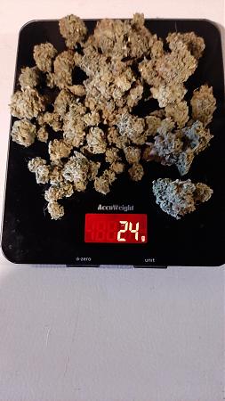 Click image for larger version

Name:	gBWfHbZ.jpg
Views:	258
Size:	1.28 MB
ID:	470394