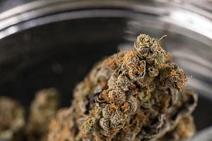 Click image for larger version

Name:	jarCannabis.jpg
Views:	490
Size:	40.0 KB
ID:	473450