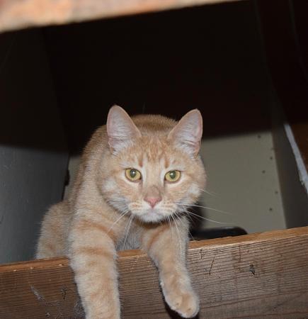 Click image for larger version

Name:	Loki.jpg
Views:	184
Size:	3.22 MB
ID:	13493