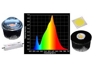 Click image for larger version

Name:	LEDs.jpg
Views:	521
Size:	38.9 KB
ID:	392544