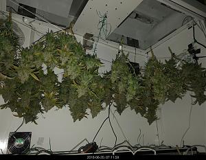 Click image for larger version

Name:	image_51001.jpg
Views:	358
Size:	342.1 KB
ID:	217098
