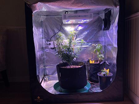 Click image for larger version  Name:	098CA8E5-7178-4465-97CD-EF1895E550B8.jpeg Views:	0 Size:	782.4 KB ID:	478304