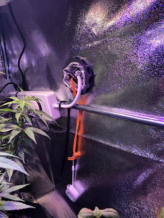 Click image for larger version  Name:	EF4244C6-2AAD-479A-B72D-552EEE9D372D.jpeg Views:	0 Size:	1.23 MB ID:	478307