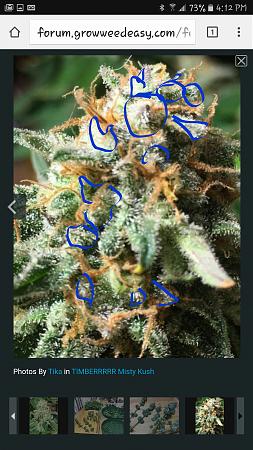 Click image for larger version

Name:	Screenshot_2016-11-28-16-13-46.jpg
Views:	246
Size:	1.82 MB
ID:	20810