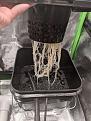 Click image for larger version

Name:	plant3roots.jpg
Views:	368
Size:	3.35 MB
ID:	487666