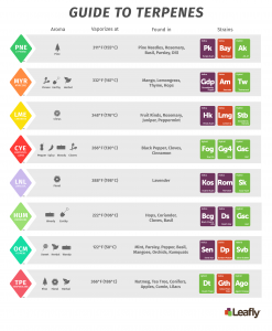 Click image for larger version  Name:	Terpene-Chart-copy-2.png Views:	43 Size:	356.6 KB ID:	353902