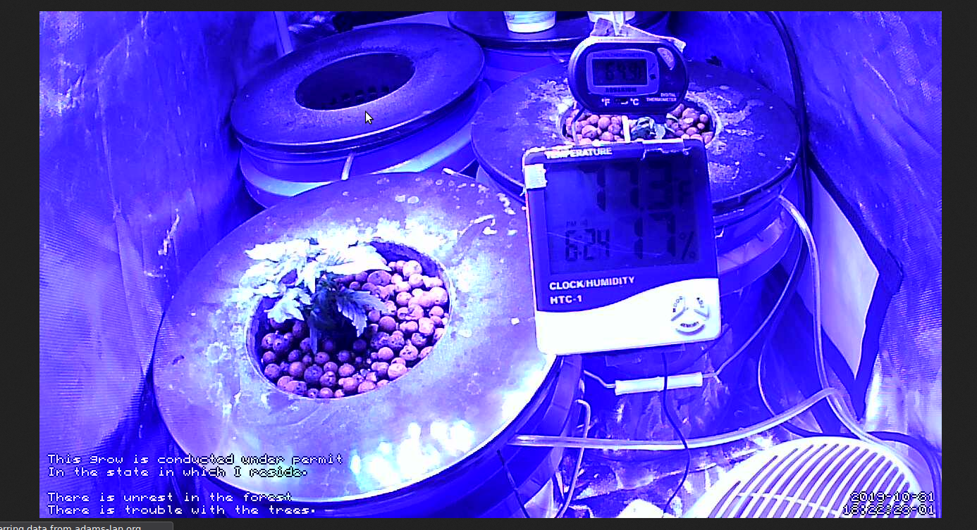 Click image for larger version

Name:	grow 2 week 3 Screenshot_20191031_182306.png
Views:	434
Size:	1.43 MB
ID:	346265