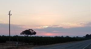 Click image for larger version

Name:	20170802_062531.jpg
Views:	162
Size:	1,004.1 KB
ID:	121556