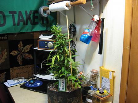 Click image for larger version  Name:	IMG_2026.JPG Views:	0 Size:	1.62 MB ID:	508841