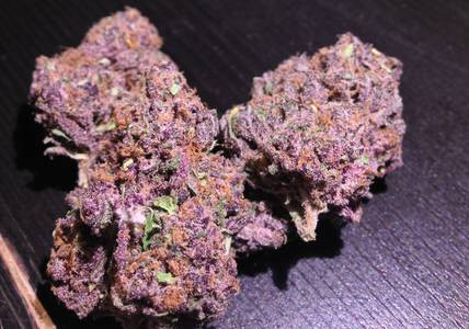 Click image for larger version

Name:	purpleurkle.jpg
Views:	267
Size:	51.9 KB
ID:	508846