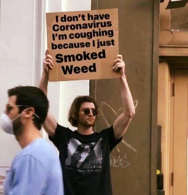 Click image for larger version

Name:	Weed.jpg
Views:	239
Size:	81.4 KB
ID:	509105