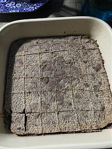 Click image for larger version

Name:	canna fudge.JPG
Views:	484
Size:	3.51 MB
ID:	509597