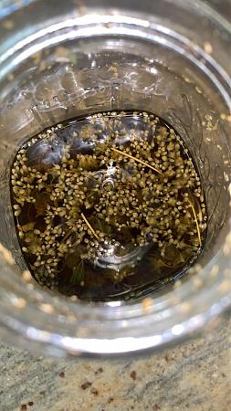 Click image for larger version

Name:	Seeds.jpg
Views:	312
Size:	525.5 KB
ID:	509767