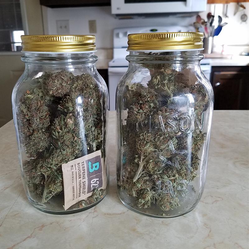 Click image for larger version

Name:	jars.jpg
Views:	452
Size:	1.13 MB
ID:	512486
