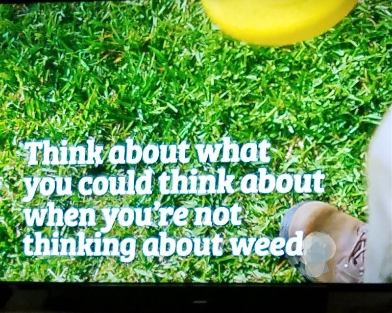 Click image for larger version

Name:	Weeds.jpg
Views:	680
Size:	288.6 KB
ID:	513640