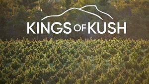 Click image for larger version

Name:	kingsofkush.jpg
Views:	225
Size:	141.3 KB
ID:	513658
