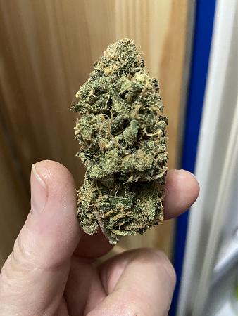 Click image for larger version

Name:	BF ck ksh cured 3.5mos.JPG
Views:	492
Size:	2.49 MB
ID:	373791