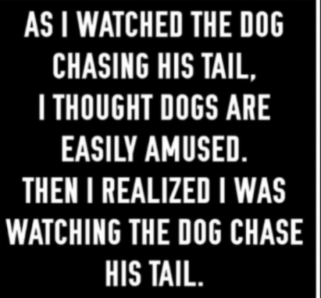 Click image for larger version

Name:	Dog.png
Views:	373
Size:	293.3 KB
ID:	517053