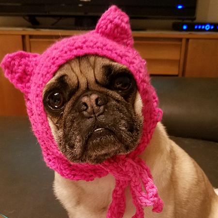 Click image for larger version

Name:	LiamPussyHat.jpg
Views:	262
Size:	536.0 KB
ID:	522765
