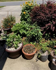 Click image for larger version

Name:	5.jpg
Views:	896
Size:	282.4 KB
ID:	524221