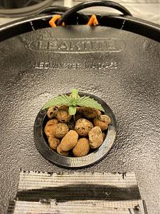 Click image for larger version

Name:	IMG_3842.jpg
Views:	826
Size:	3.90 MB
ID:	528806