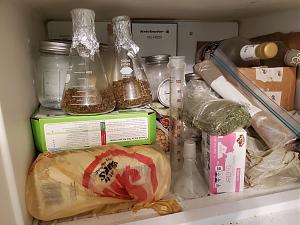 Click image for larger version

Name:	FREEZER-A.jpg
Views:	776
Size:	433.4 KB
ID:	532906