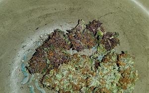 Click image for larger version

Name:	20210903_101011.jpg
Views:	645
Size:	2.88 MB
ID:	534566