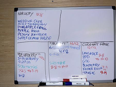 Click image for larger version

Name:	IMG_0511.jpg
Views:	460
Size:	2.60 MB
ID:	534838