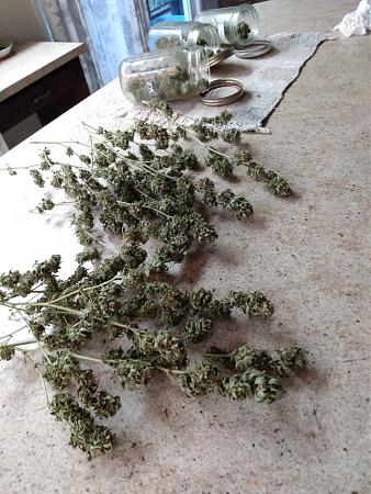 Click image for larger version

Name:	IMG_20211011_085624_01.jpg
Views:	779
Size:	2.37 MB
ID:	542430