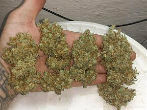 Click image for larger version

Name:	sme.jpg
Views:	746
Size:	405.9 KB
ID:	545901
