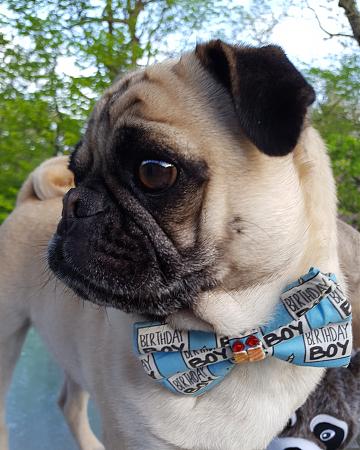 Click image for larger version

Name:	BdayBoyL.jpg
Views:	525
Size:	2.12 MB
ID:	547454