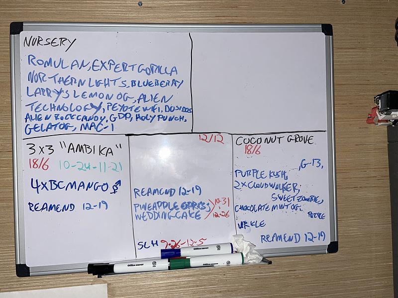 Click image for larger version

Name:	IMG_0732.jpg
Views:	266
Size:	2.74 MB
ID:	548508