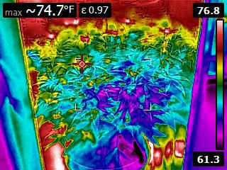 Click image for larger version

Name:	FLIR0237.jpg
Views:	400
Size:	56.5 KB
ID:	550323