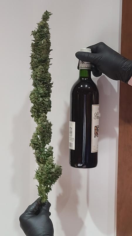 Click image for larger version

Name:	budWine.jpg
Views:	983
Size:	1.08 MB
ID:	551150