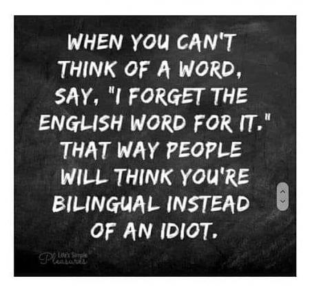 Click image for larger version

Name:	IdiotWords.jpg
Views:	641
Size:	50.3 KB
ID:	554714